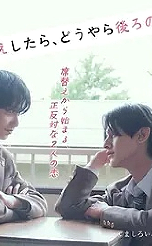 八零姐妹花内容封面
