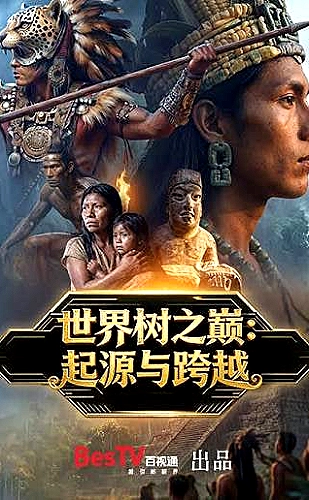反转人生内容封面